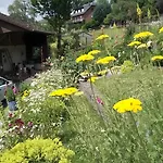 Zur Waldroute شقة *